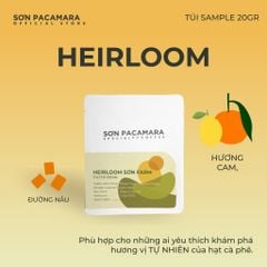 (QUÀ TẶNG KHÔNG BÁN) Gói Cà Phê Sơn Pacamara 20gr Xay Sẵn Cho Pour Over