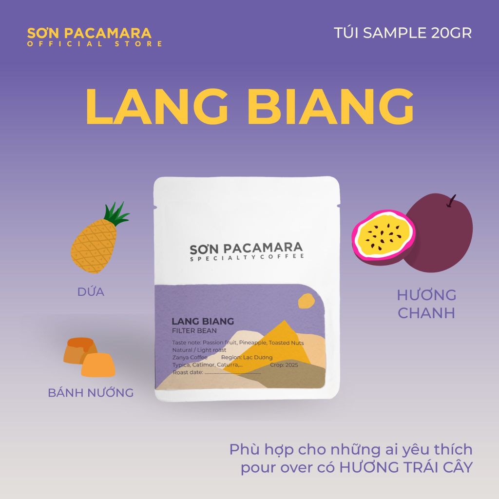 (QUÀ TẶNG KHÔNG BÁN) Gói Cà Phê Sơn Pacamara 20gr Xay Sẵn Cho Pour Over