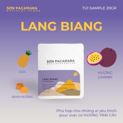 (QUÀ TẶNG KHÔNG BÁN) Gói Cà Phê Sơn Pacamara 20gr Xay Sẵn Cho Pour Over
