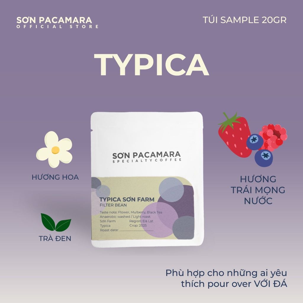 (QUÀ TẶNG KHÔNG BÁN) Gói Cà Phê Sơn Pacamara 20gr Xay Sẵn Cho Pour Over