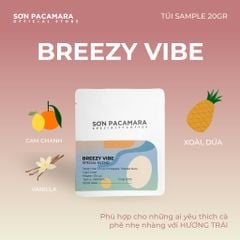 (QUÀ TẶNG KHÔNG BÁN) Gói Cà Phê Sơn Pacamara 20gr Xay Sẵn Cho Pour Over