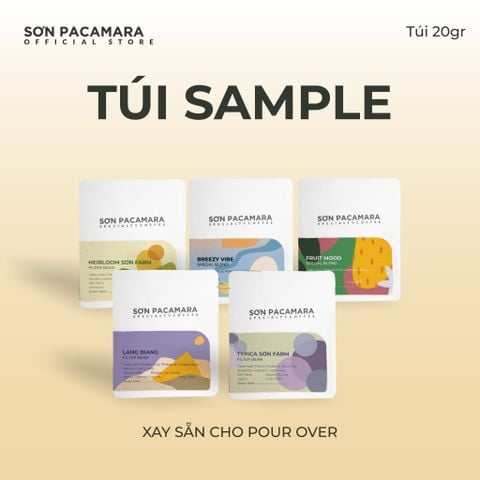 (QUÀ TẶNG KHÔNG BÁN) Gói Cà Phê Sơn Pacamara 20gr Xay Sẵn Cho Pour Over