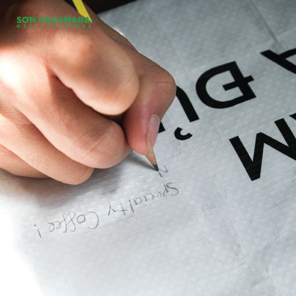 Túi Tote PE AnyWear Sơn Pacamara, Phù hợp mọi loại outfit, mọi nhu cầu sử dụng