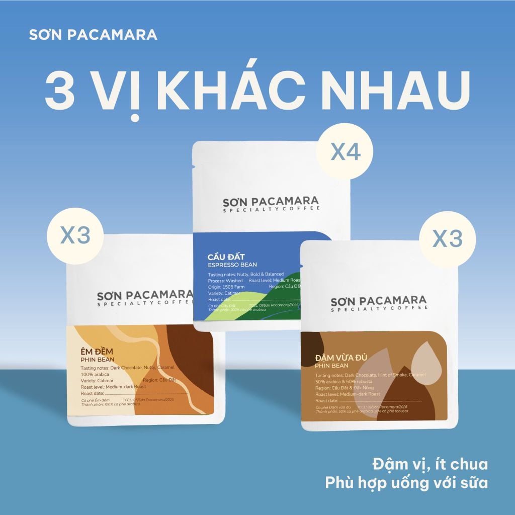 Cà Phê Phin Giấy Sơn Pacamara Phù hợp Cà Phê Sữa, 3 Hương Vị, Vị Đầm, Túi 14gr / Hộp 10 Túi