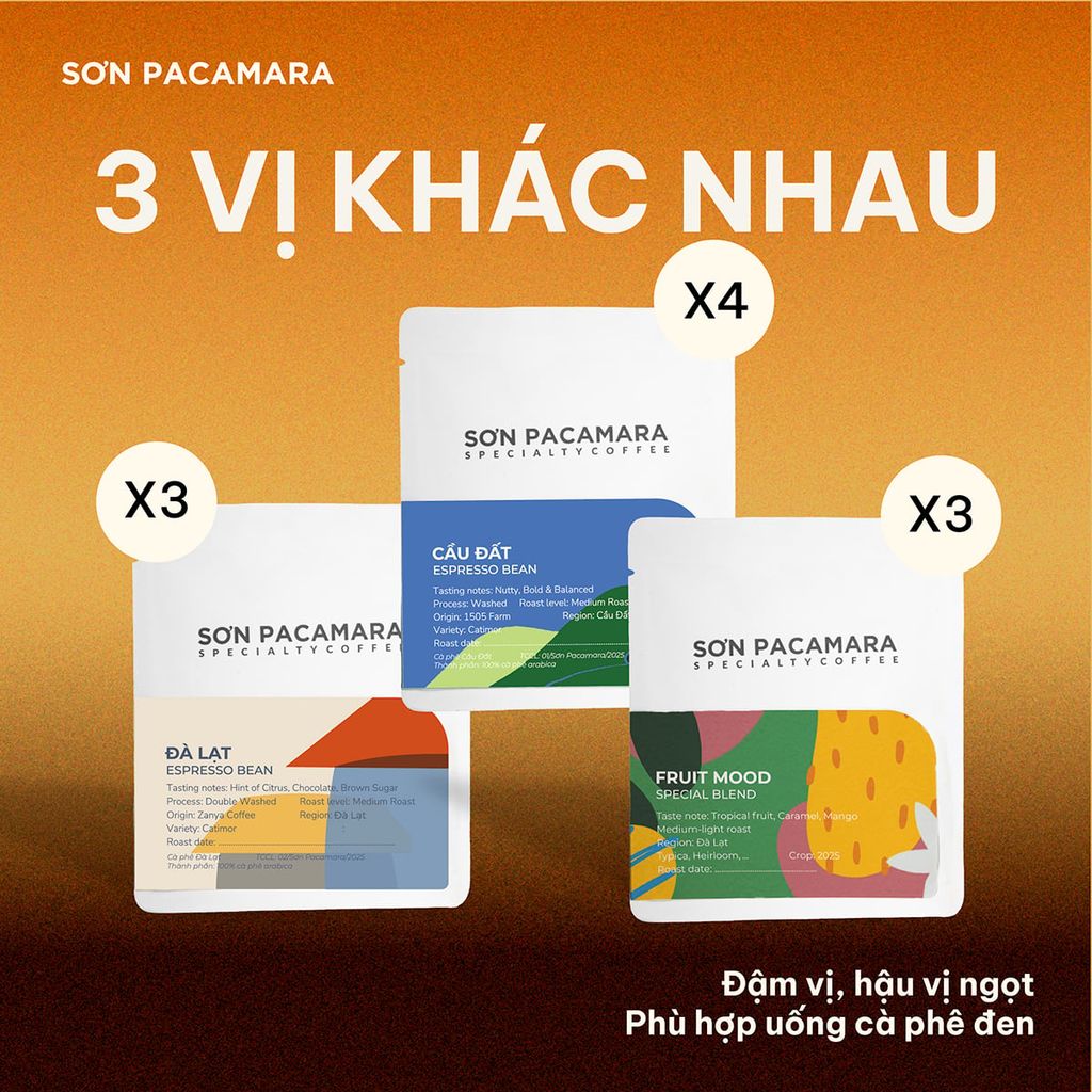 Cà Phê Phin Giấy Sơn Pacamara Phù Hợp Cà Phê Đen, 3 Hương Vị, Rang Vừa, Túi 14gr / Hộp 10 Túi