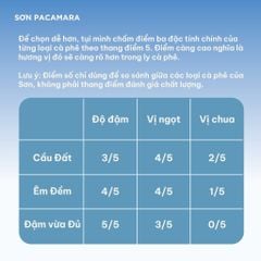 Cà Phê Phin Giấy Sơn Pacamara Phù hợp Cà Phê Sữa, 3 Hương Vị, Vị Đầm, Túi 14gr / Hộp 10 Túi