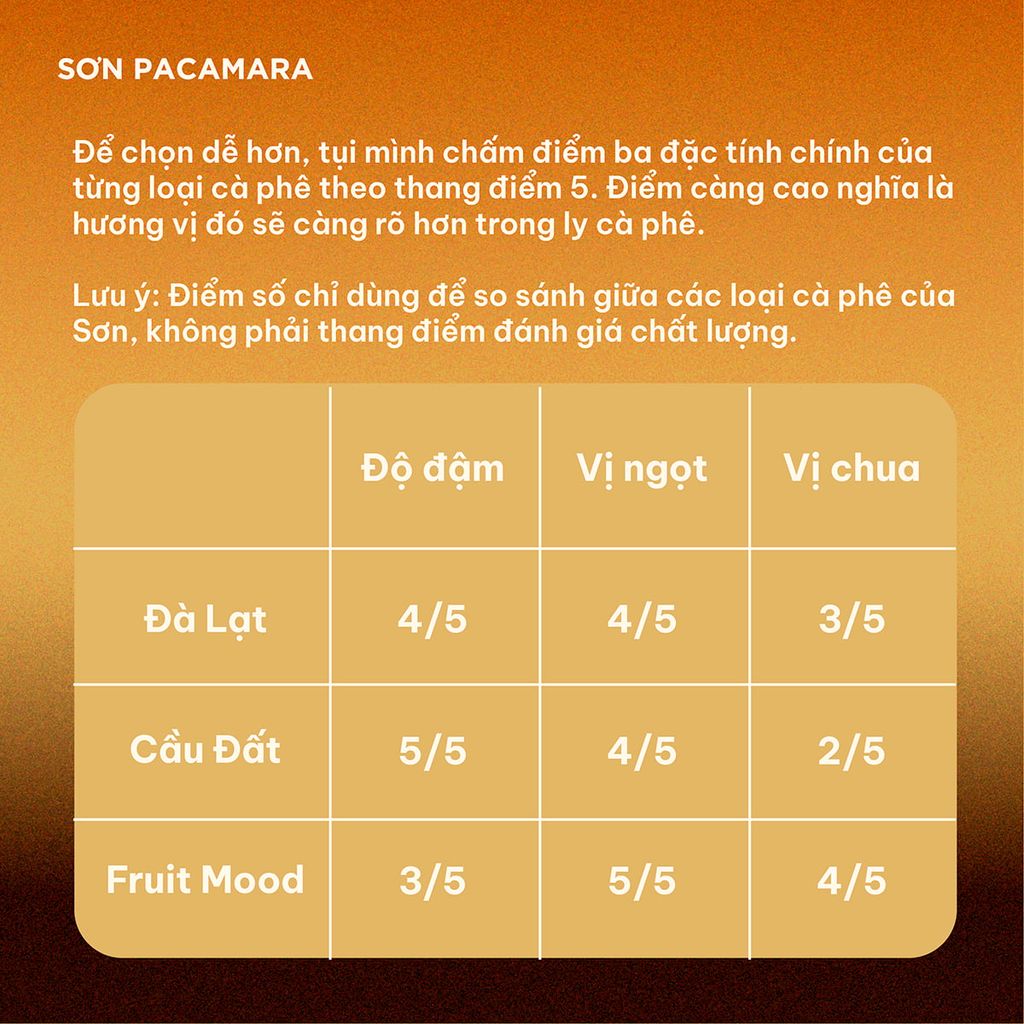 Cà Phê Phin Giấy Sơn Pacamara Phù Hợp Cà Phê Đen, 3 Hương Vị, Rang Vừa, Túi 14gr / Hộp 10 Túi