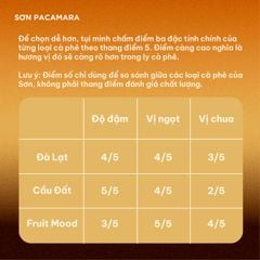 Cà Phê Phin Giấy Sơn Pacamara Phù Hợp Cà Phê Đen, 3 Hương Vị, Rang Vừa, Túi 14gr / Hộp 10 Túi