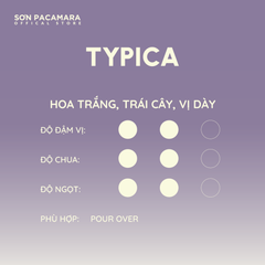 Combo Khám Phá Vùng Đà Lạt Với 3 Gói Cà Phê, Phù hợp Nhiều Cách Pha Khác Nhau, Gói 250gr