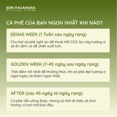 Combo Khám Phá Vùng Sơn Farm Với 3 Gói Cà Phê, Phù hợp Nhiều Cách Pha Khác Nhau, Gói 250gr