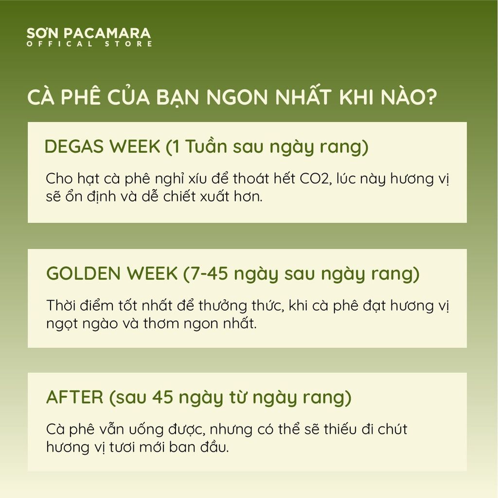 Cà Phê Phin Giấy DRIP BAG Sơn Pacamara Nhiều Hương Vị Khác Nhau, Xay Mới, Túi Lọc Tiện Lợi, Túi 14gr