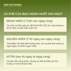 Cà Phê Phin Giấy DRIP BAG Sơn Pacamara Nhiều Hương Vị Khác Nhau, Xay Mới, Túi Lọc Tiện Lợi, Túi 14gr