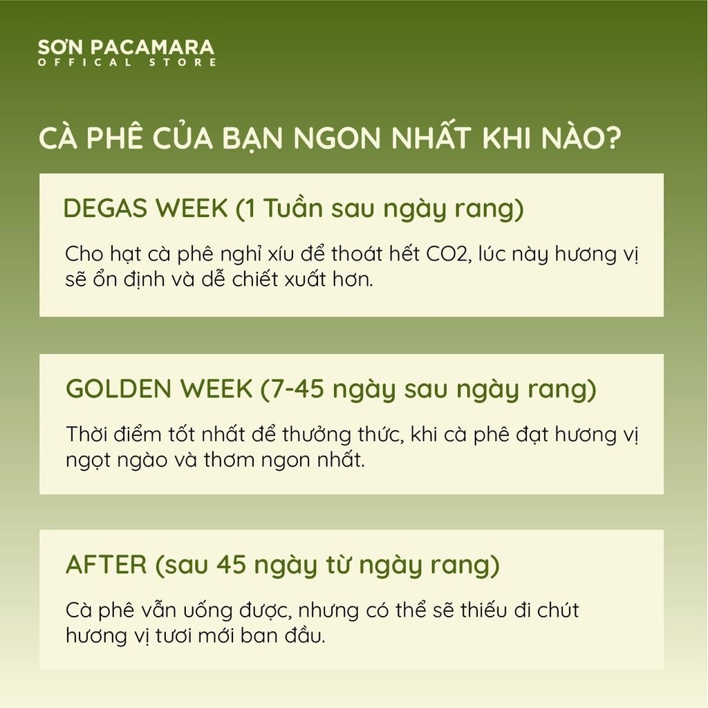 (Gói Giới Hạn) Cà Phê Liberica Sơn Pacamara, Regene Farm, Rang Sáng, Hương Trái Cây Gói 100gr/250gr