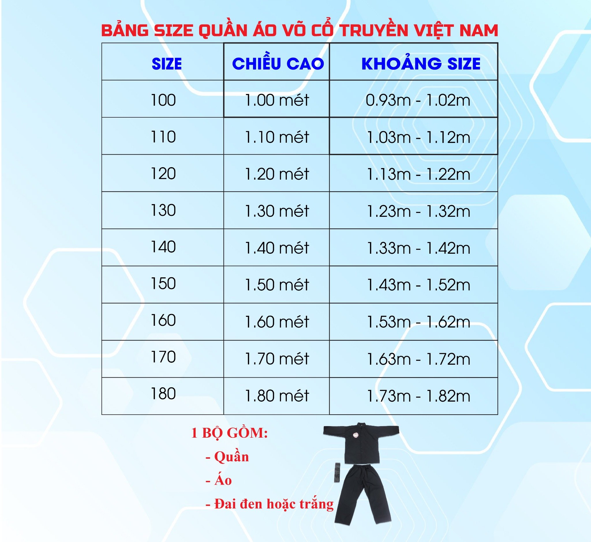 Võ Phục Võ Cổ Truyền Fighter PT