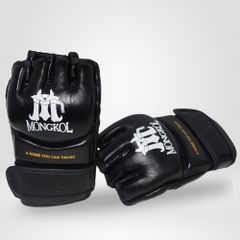 Găng Thi Đấu MMA Mongkol Thái Lan