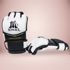 Găng Thi Đấu MMA Mongkol Thái Lan