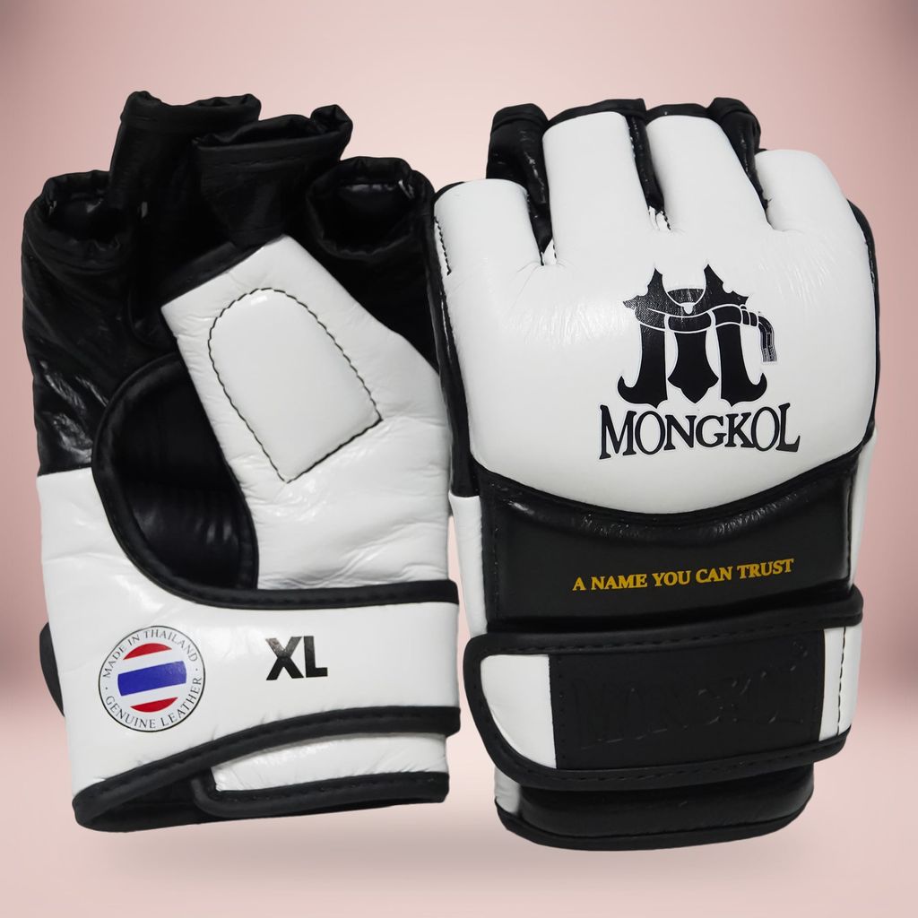 Găng Thi Đấu MMA Mongkol Thái Lan