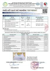 Áo lót học sinh MB 9995, tàng hình, vải băng lạnh điều hoà, mút liền