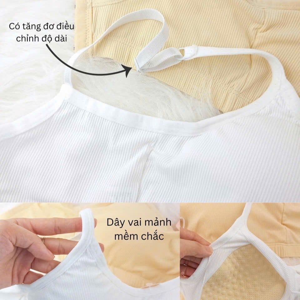 Áo Bra Nữ MB 9154 | Mút Liền Mát Lạnh, Co Giãn, Nâng Đỡ Tự Nhiên