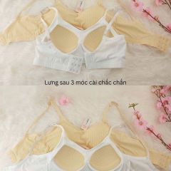 Áo Bra Nữ MB 9154 | Mút Liền Mát Lạnh, Co Giãn, Nâng Đỡ Tự Nhiên