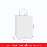  ETG3T - 30x20x10 cm - Túi Giấy Kraft Màu Trắng 