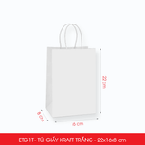  ETG1T - 22x16x8 cm - Túi Giấy Kraft Màu Trắng 