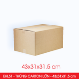  EHL51 - 43x31x31.5 cm - Combo 10 Thùng Carton Size Lớn 