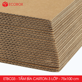  ETBC03 - Tấm Bìa Carton - 100x75 cm 