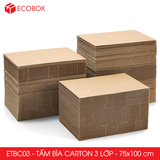  ETBC03 - Tấm Bìa Carton - 100x75 cm 