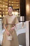  Váy nâu dài phối cap choàng RAFFINÉ 