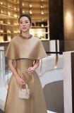  Váy nâu dài phối cap choàng RAFFENI 