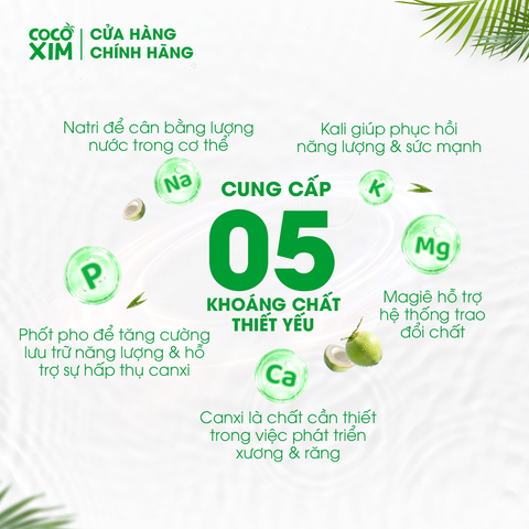  Thùng 12 Hộp Nước dừa đóng hộp Cocoxim Sen 330ml/Hộp 