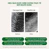 Bộ sản phẩm dưỡng tóc mềm mượt chắc khỏe Rausch Swiss Herbs