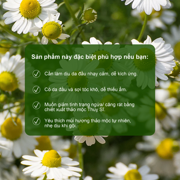 Dầu gội hỗ trợ dưỡng tóc mềm mượt chắc khỏe Rausch Swiss Herbs Thảo Dược Thụy Sĩ 40ml