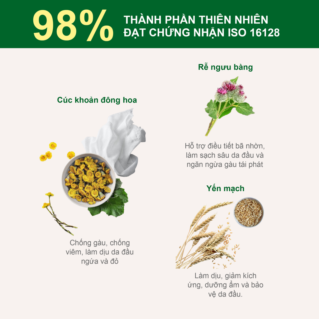 Dầu xả giảm gàu ngứa, dịu da đầu Rausch Coltsfoot Cúc Khoản Đông Hoa, thảo dược Thụy Sĩ 150ml