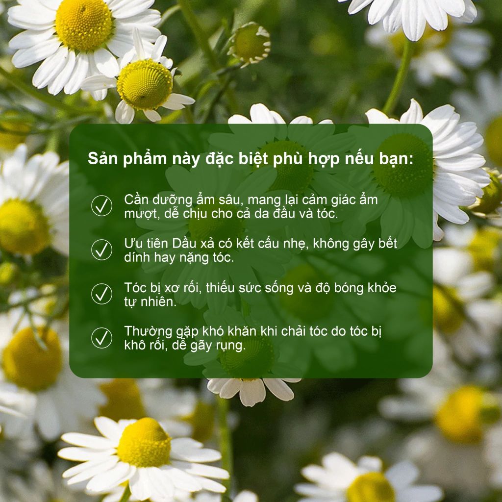 Quà minisize 1 gội, 2 xả Swiss Herb (quà khi mua fullsize tinh chất)