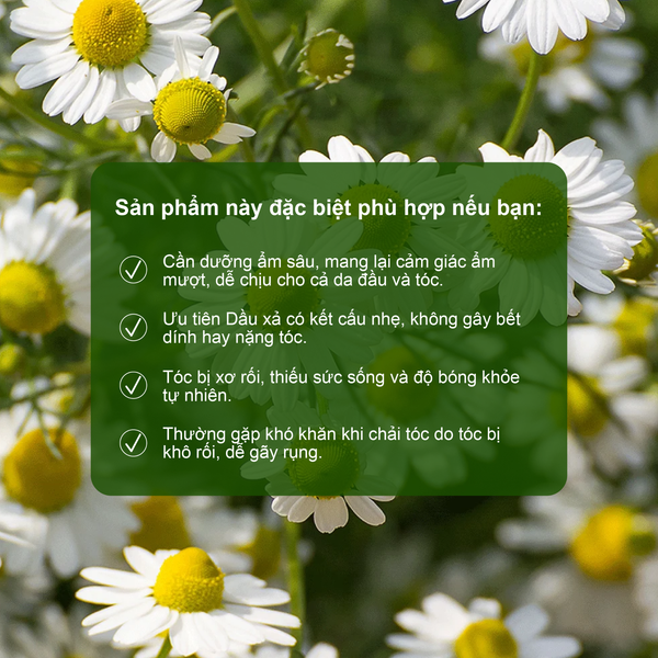 Dầu xả minisize hỗ trợ dưỡng tóc mềm mượt, giúp tóc chắc khỏe Rausch Swiss Herbs Thảo Dược Thụy Sĩ 30ml