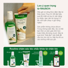 [MUA 1 TẶNG 2] Dầu xả hỗ trợ giảm gãy rụng, tăng mật độ tóc Rausch Ginseng 150ml