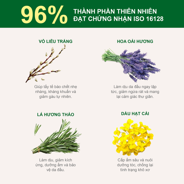 Dầu xả minisize hỗ trợ sạch gàu ướt, giảm bết và ngứa Rausch Willow Bark Vỏ Liễu Trắng 30ml