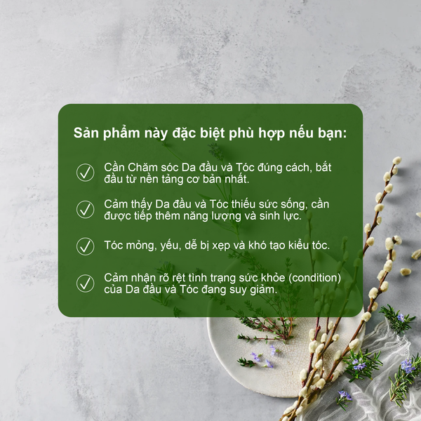Dầu xả minisize hỗ trợ sạch gàu ướt, giảm bết và ngứa Rausch Willow Bark Vỏ Liễu Trắng 30ml