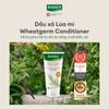 Dầu xả hỗ trợ phục hồi tóc khô và hư tổn do ánh nắng Rausch Wheatgerm 30ml
