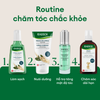 Tinh chất dưỡng da đầu chuyên sâu, hỗ trợ giảm rụng và củng cố thân tóc Rausch Ginseng 30ml