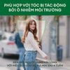 Dầu gội loại bỏ các hoạt chất gây hại và bảo vệ tóc khỏi ô nhiễm Rausch Swiss Apple 200ml
