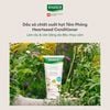Dầu xả chăm sóc đặc biệt dành cho da đầu nhạy cảm Rausch Heartseed 30ml