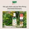 Dầu gội chăm sóc đặc biệt dành cho da đầu nhạy cảm Rausch Heartseed 200ml