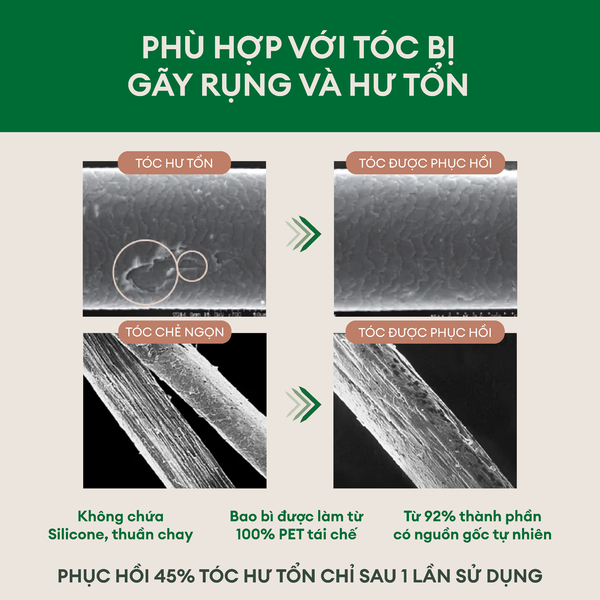 Dầu gội hỗ trợ phục hồi tóc hư tổn Rausch Amaranth 200ml