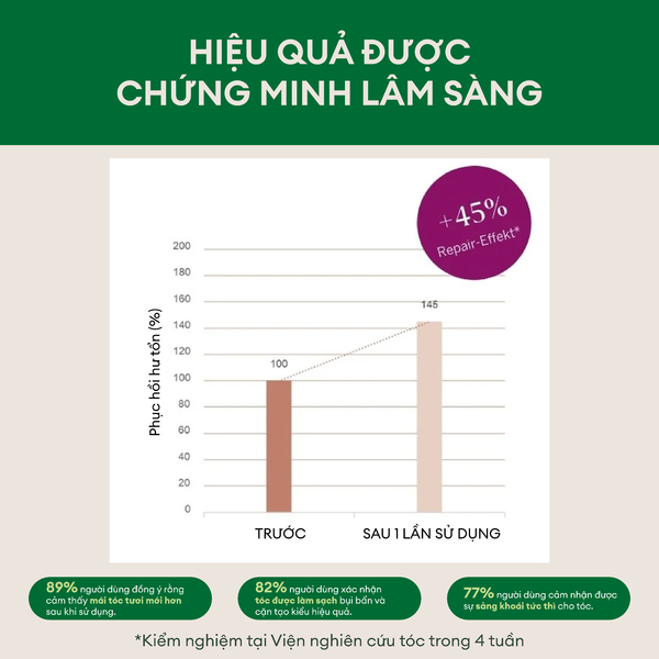 Dầu gội hỗ trợ phục hồi tóc hư tổn Rausch Amaranth 40ml