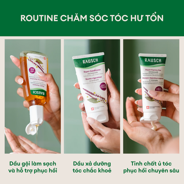 Dầu gội hỗ trợ phục hồi tóc hư tổn Rausch Amaranth 40ml