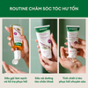 Dầu gội hỗ trợ phục hồi tóc hư tổn Rausch Amaranth 40ml