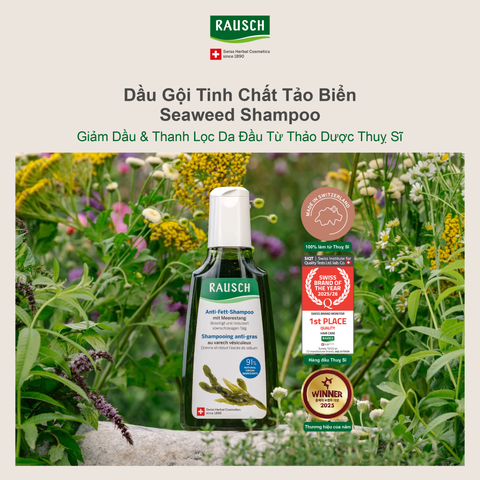 Combo dầu gội hỗ trợ kiềm dầu & giảm nhờn Rausch Seaweed 40ml và dầu xả nuôi dưỡng tóc mềm mượt Rausch Swiss Herbs 30ml